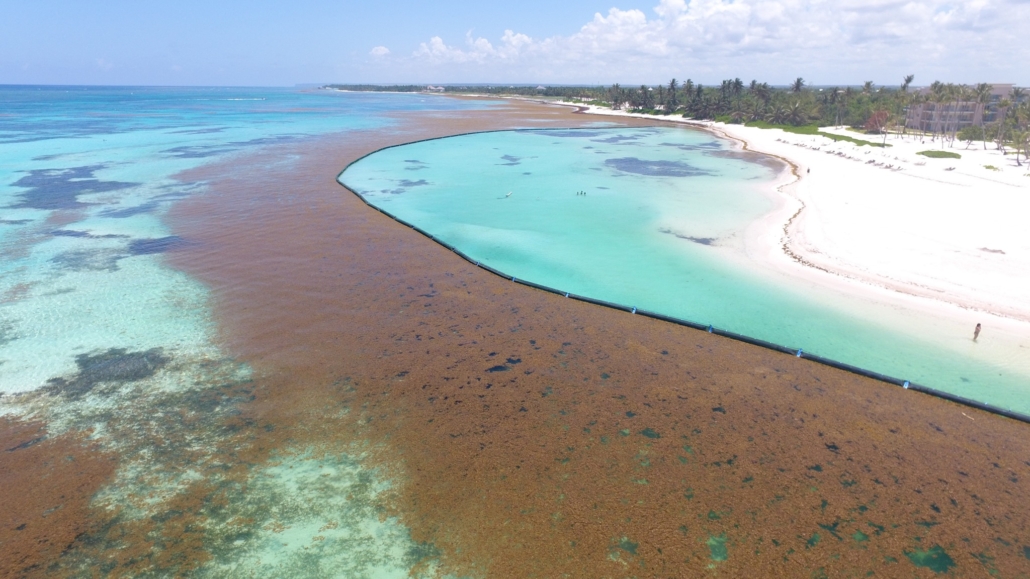 El Departamento de Medio Ambiente emite un plan de emergencia para recoger Sargassum de las playas de la República Dominicana.