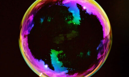 ¿Por qué los ecosistemas de inicio insular matan el crecimiento?