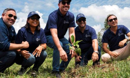 Cruise en plantas terrestres 1,000 árboles para impulsar el impacto ambiental a liberal plazo en la República Dominicana