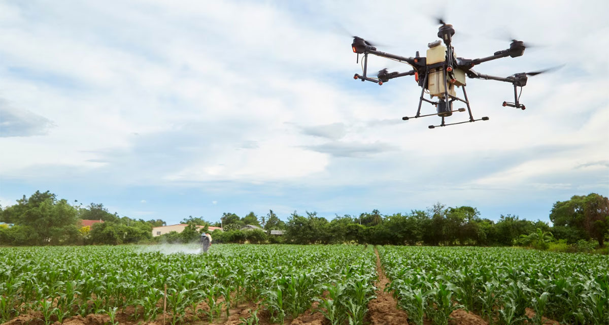 Drones en Cocoa: una tecnología que podría librarse hasta $ 12,000 al año