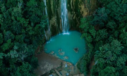 El 35% de los dominicanos viajaron adentro del país en el posterior año