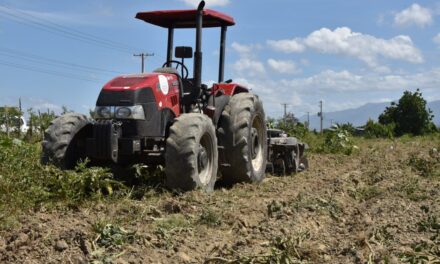 El Ministerio de Agricultura implementa la prohibición de cultivos estacionales en Azua