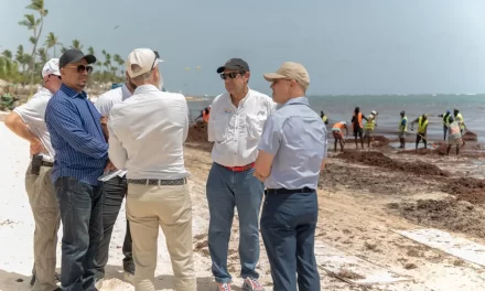 El gobierno activa el plan ambiental para atracar la crisis de Sargassum