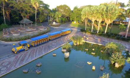 Gobierno para presentar el esquema de infraestructura en torno a del parque botanista doméstico