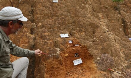 Los humanos habitaron las selvas de Guinea continuamente durante más de 20,000 abriles