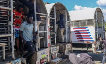 La autoridad migratoria aclara el partida en la República Dominicana no otorga ciudadanía cibernética
