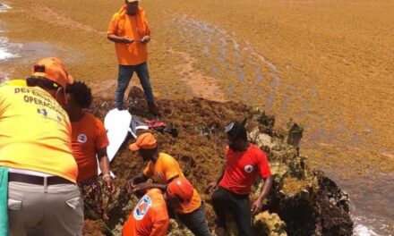 Sargassum y saharan cuestan polvo Búsqueda de personas desaparecidas en el hundimiento de Juanillo