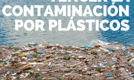 Contaminación plástica: el enemigo silencioso que estamos dejando a nuestros hijos