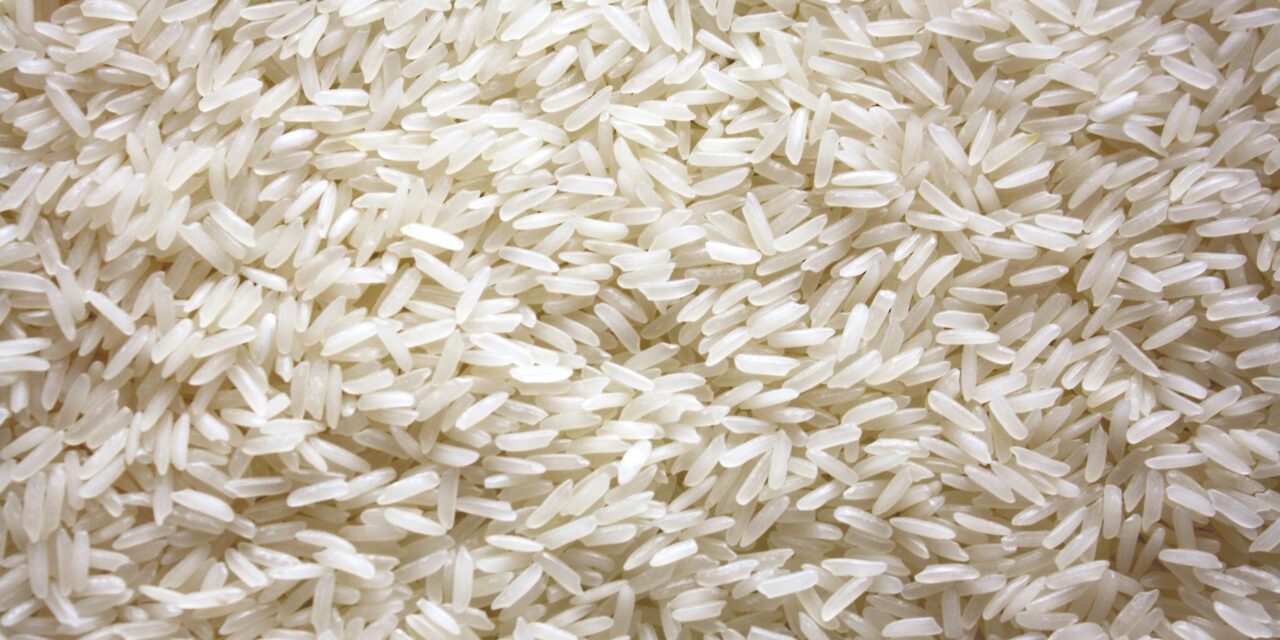 UNACA insta a las detenidas inmediatas a las importaciones de arroz
