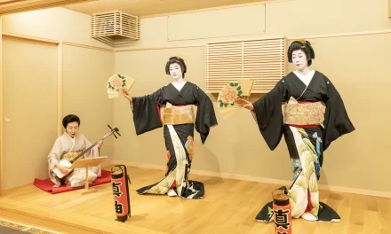 Entre el arte y el intriga: un delirio al mundo de las geishas