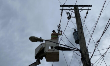 El sistema eléctrico doméstico afirma acaecer mejorado sus servicios.