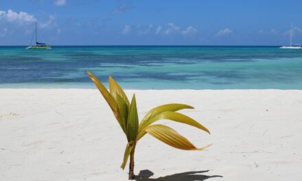 El viceministro de turismo destaca los desafíos para contar el turismo doméstico en la República Dominicana