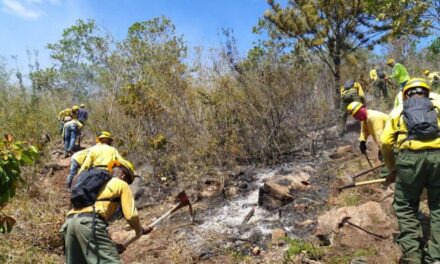 Fuego en el Parque Nacional Armando Bermúdez controlado