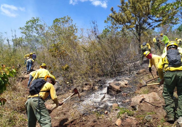 Fuego en el Parque Nacional Armando Bermúdez controlado