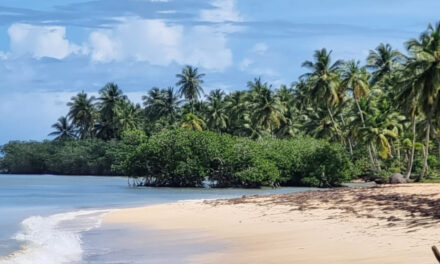 Líder de Latam en turismo Llegados per cápita