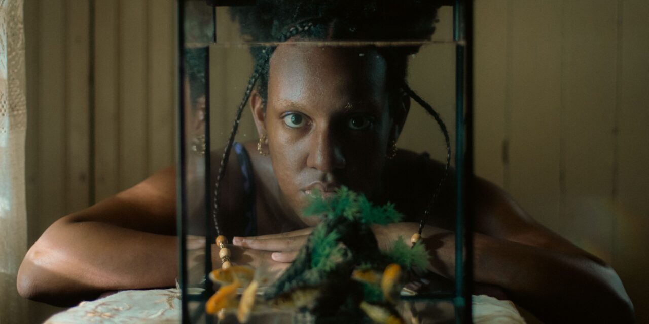 «Sugar Island» triunfa en festivales internacionales con cuatro prestigiosos premios