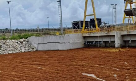 Operación de emanación de Army and SOS Carbon para eliminar a Sargassum de la planta de Punta Catalina