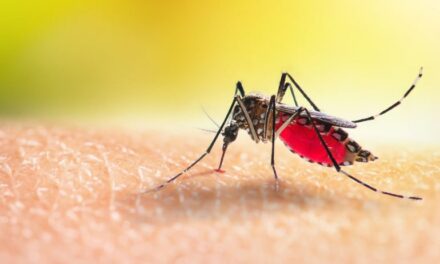 Public Health Reports 697 Malaria y 165 casos de dengue en 2025