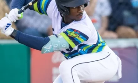 235 jugadores elegibles para el Draft de Lidom