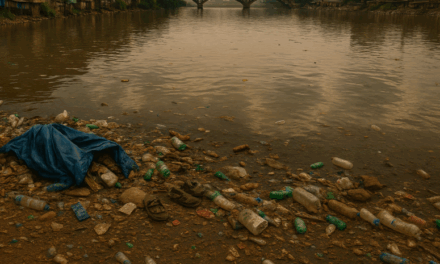 Estudio realizado por el IIBI advierte de bacterias resistentes en ríos dominicanos