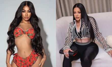 Yailin la pelea de estrellas más vírico e insuperable