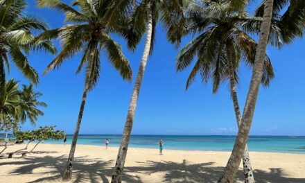 Plan de explicación turístico establecido para Verón y Las Terrenas