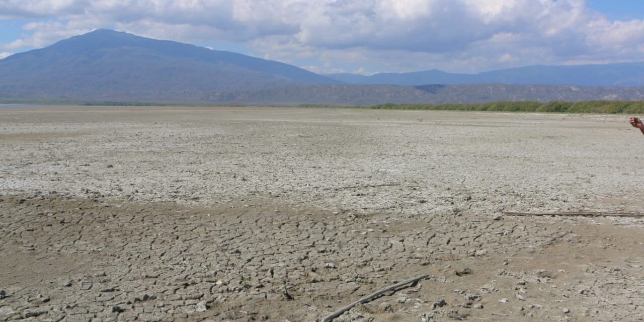 Presunto delito ambiental reportado en la región de Enriquillo