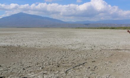Presunto delito ambiental reportado en la región de Enriquillo