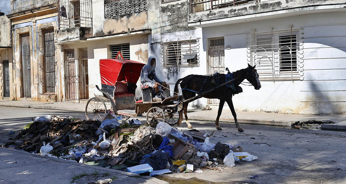 Cuba reporta más de 13.000 casos sospechosos de fiebre en la última semana