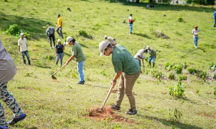 Gobierno lidera esfuerzo franquista de reforestación con especies nativas
