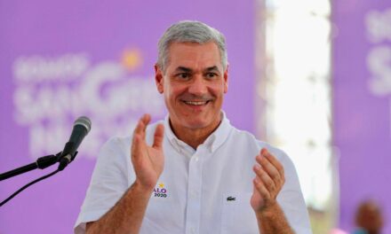 Gonzalo Castillo aclara que el PLD está dispuesto a proporcionar soluciones serias y realistas contra la crisis doméstico