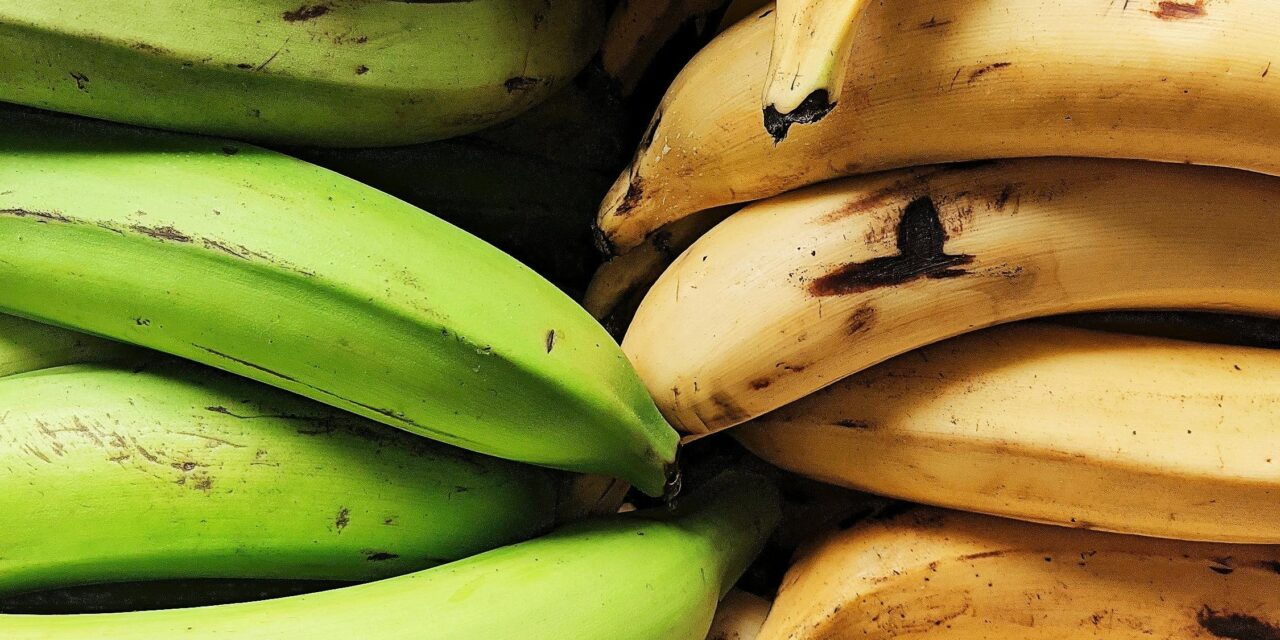 Los dominicanos en Washington Heights luchan contra el aumento de los precios de los alimentos