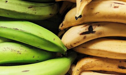 Los dominicanos en Washington Heights luchan contra el aumento de los precios de los alimentos