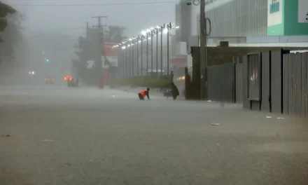 estas son las zonas más afectadas