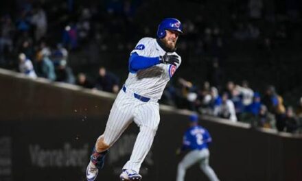 Cachorros responden en casa y evitan la asesinato delante Cerveceros