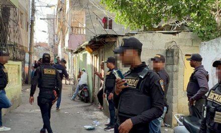 Politólogo afirma que DICRIM se ha distorsionado y está generando temor entre la población