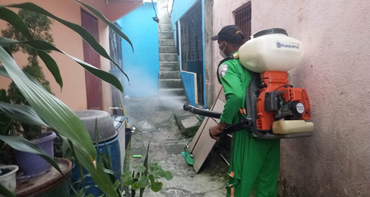 Ministerio de Salud refuerza vigilancia epidemiológica contra la circulación de chikungunya en Cuba
