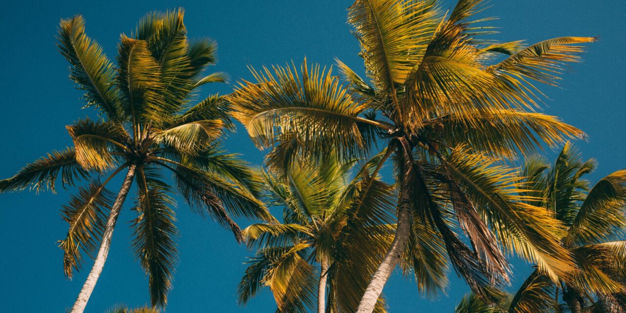 República Dominicana proyecta registrar 11,7 millones de turistas en 2025