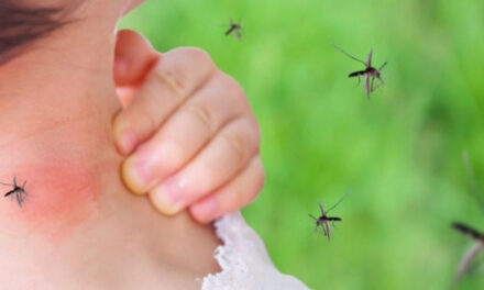 Tres provincias concentran el 95% de los casos de malaria