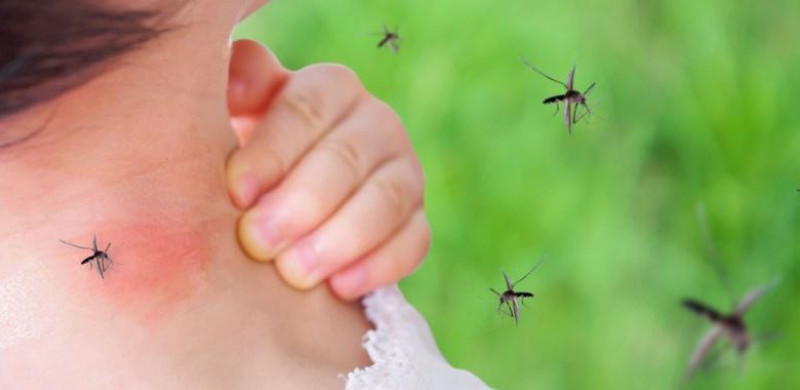 Tres provincias concentran el 95% de los casos de malaria