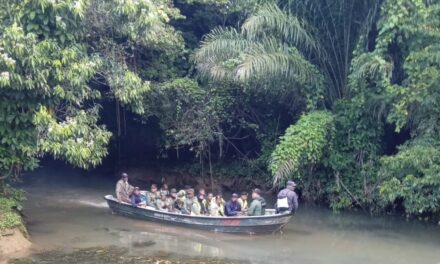 Importante operación conjunta apunta a asentamientos ilegales en Los Haitises