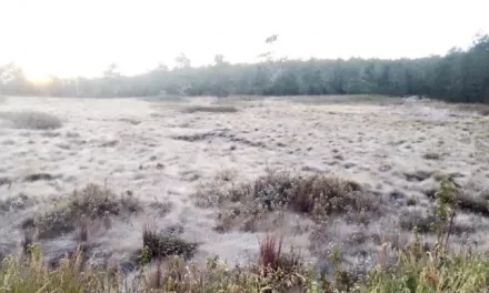 Las heladas azotan a Valle Nuevo por segundo día mientras las temperaturas caen bajo cero
