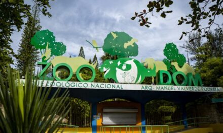 Ministerio del Ambiente autoriza importación de especies exóticas para Zoológico Nacional
