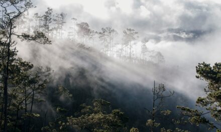 Muere turista francés mientras escalaba el Pico Duarte