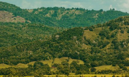 Senado declara por unanimidad a Monseñor Nouel Provincia de Ecoturismo