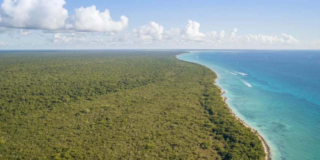 TSA anula sentencia que ordena compensación por terrenos en el Parque Nacional Cotubanamá