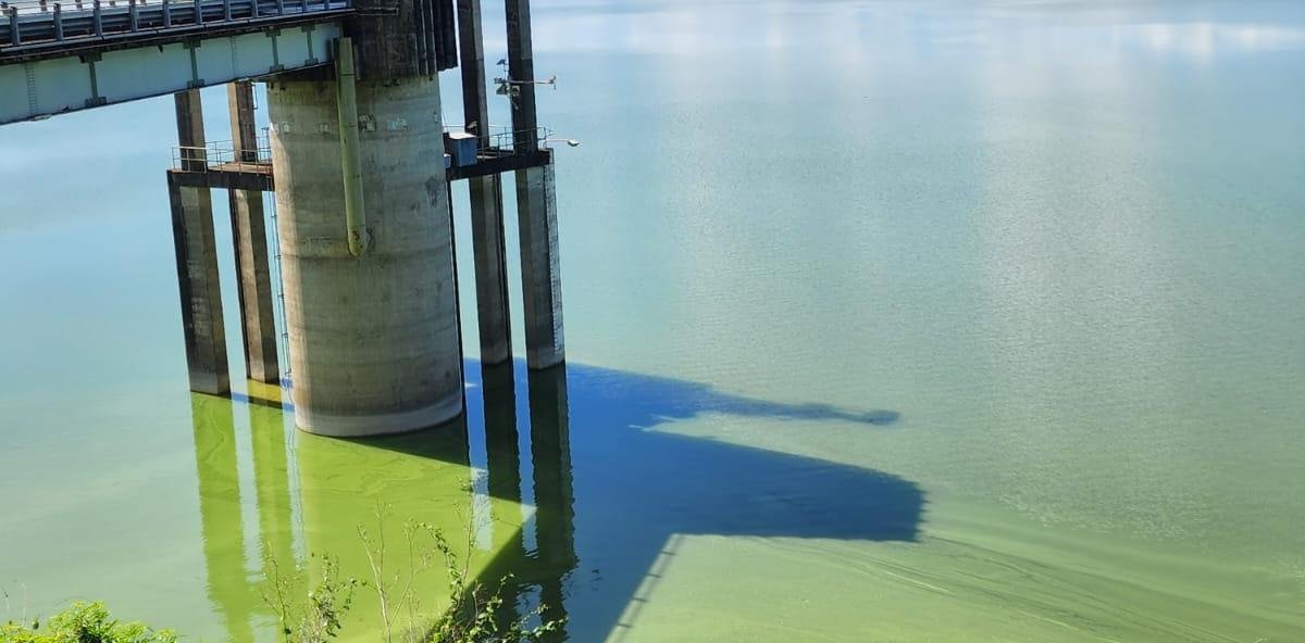 ¿Qué está pasando en Cotuí? Denuncian color inusual en las aguas de la presa Hatillo