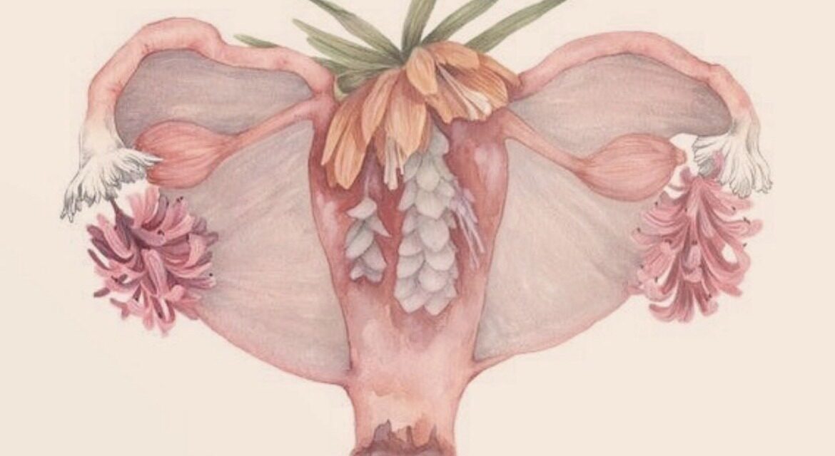 Vapor vaginal: una destreza sin respaldo comprobado que puede poner en aventura la sanidad íntima