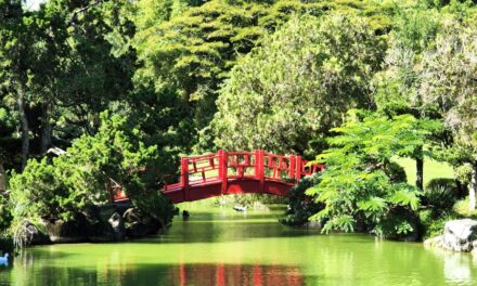 Jardín Botánico Nacional publica el Volumen 22 de Revista Científica Moscosoa
