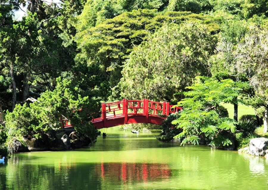 Jardín Botánico Nacional publica el Volumen 22 de Revista Científica Moscosoa